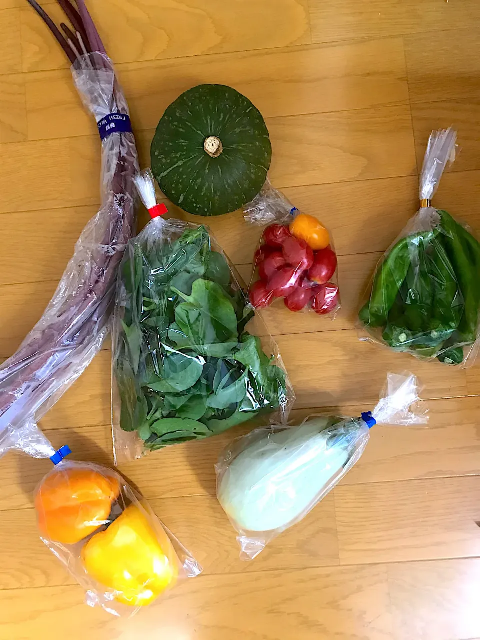 ふるさと納税で京野菜が届きました！ずいき、かぼちゃ、万願寺とうがやし、トマト、おかわかめ、パプリカ、白なす|じょんさん