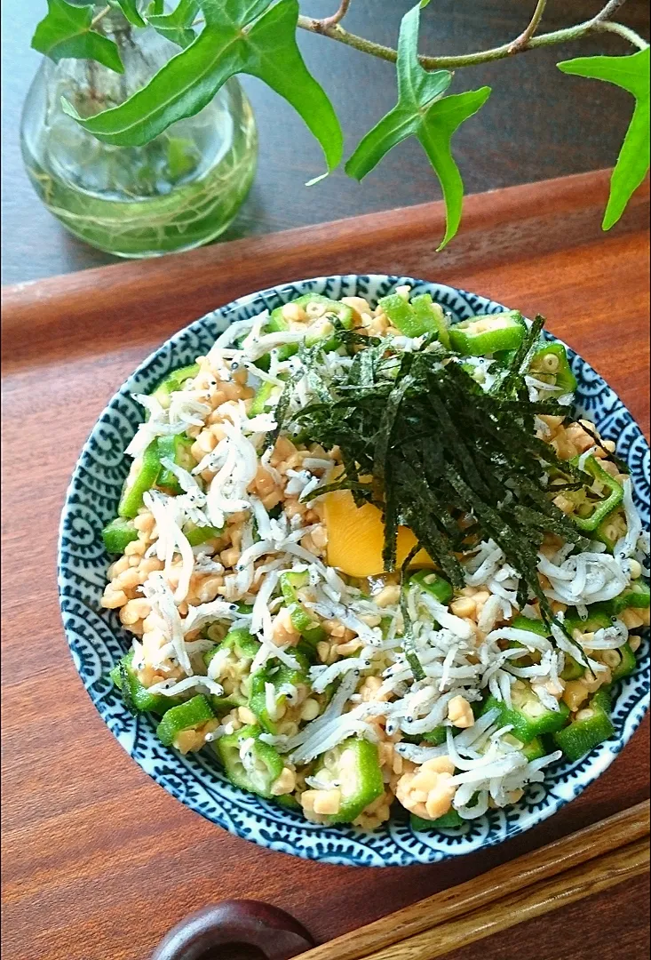 納豆ｵｸﾗしらす丼|まりおさん