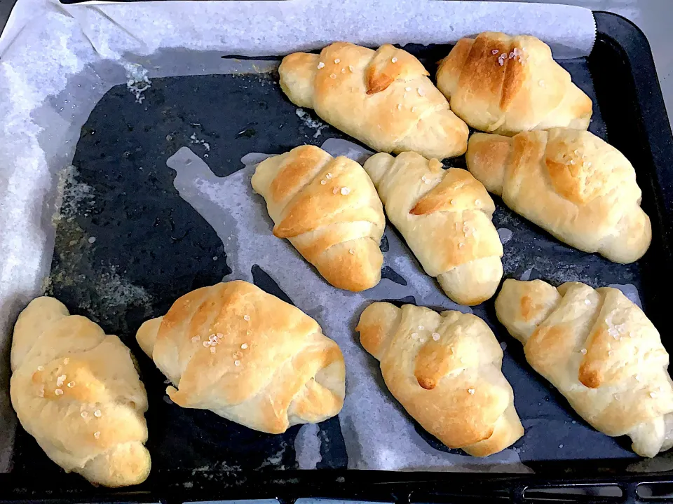 塩パン焼きました✨ん⁉︎減ってる⁉︎|もぐぷーさん