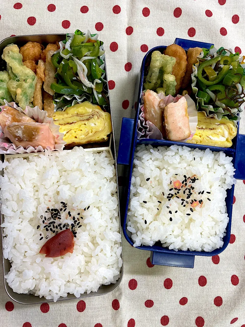 8月25日　今日も猛暑弁当🍱|sakuramochiさん