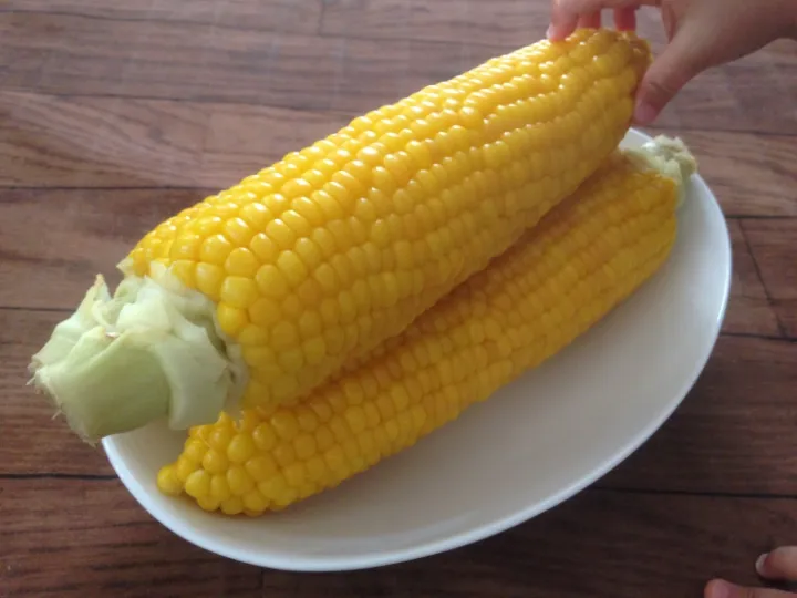 ✽立派なとうもろこし🌽✽|＊抹茶＊さん