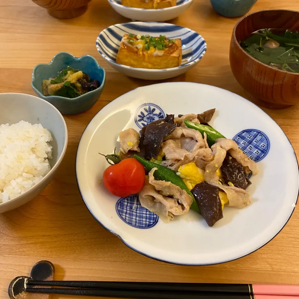 Snapdishの料理写真:今日の夜ごはん|non0619さん