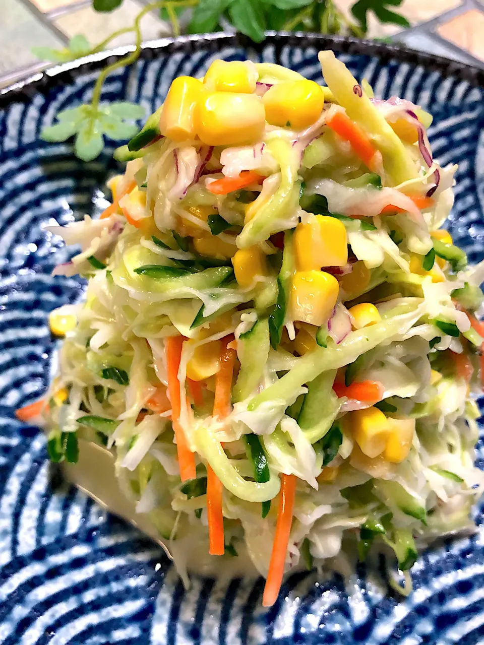 千切り野菜のちょっと酸っぱ目コールスロー🥗|みゆきさん