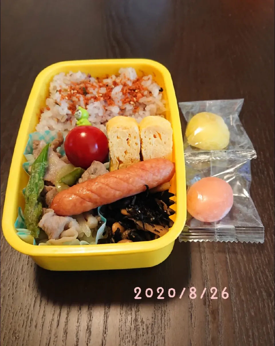 Snapdishの料理写真:おべんとう|little waltzさん