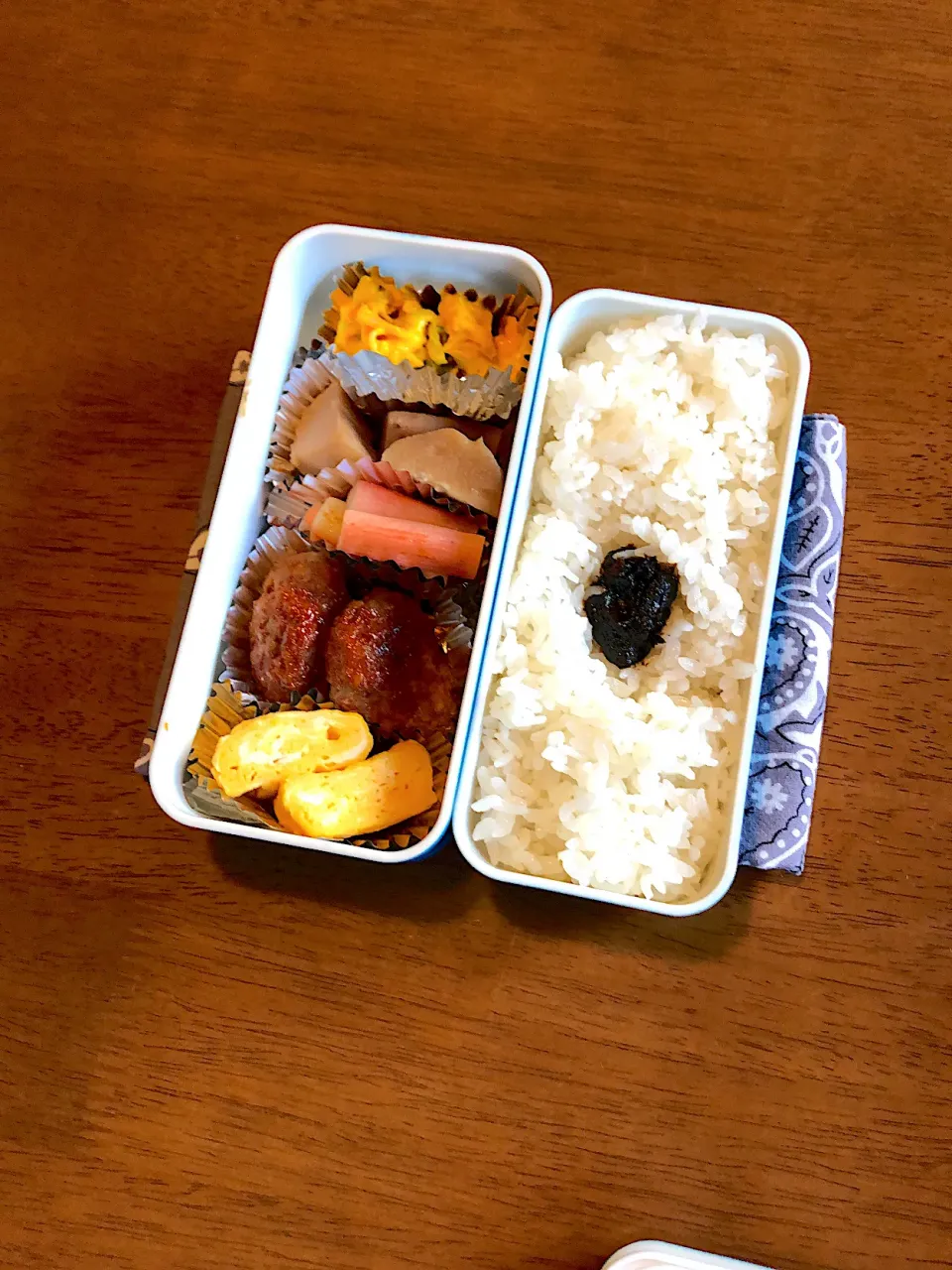 Snapdishの料理写真:8/27のお弁当|るりさん