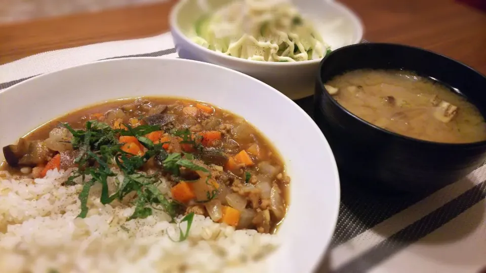 鶏ひき肉と野菜のｶﾚｰ🍛
の晩ごはん✨|kaz(*･ω･)さん