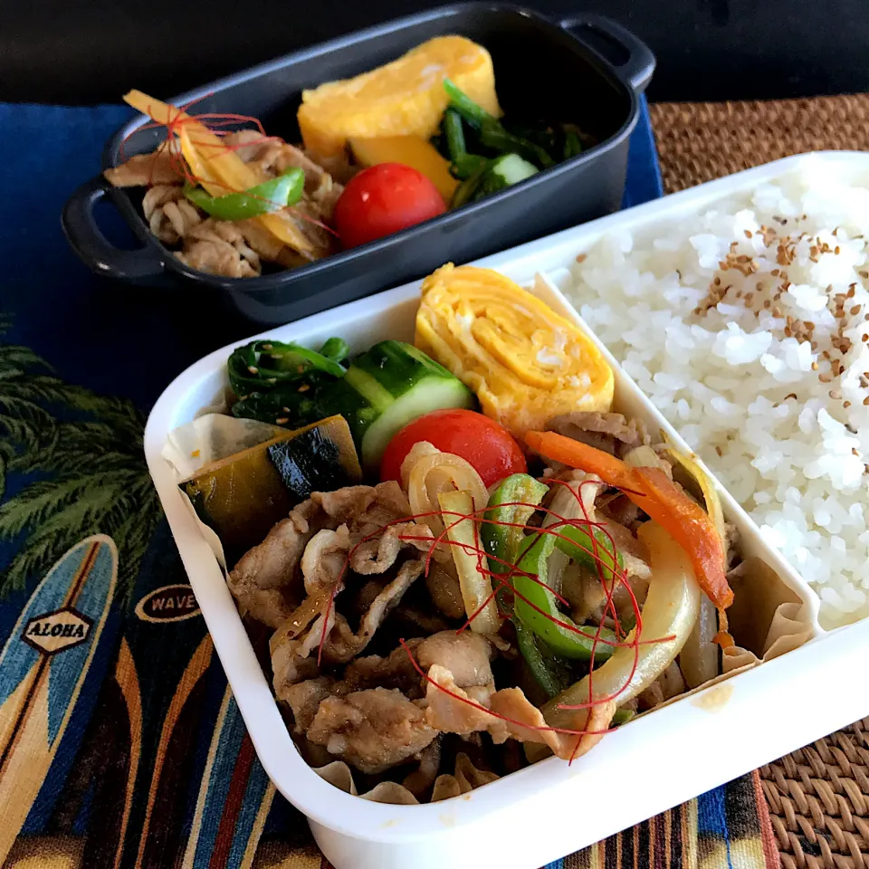 おじさん弁当🍱&おばさん弁当🍱　　☆ Aug.28.2020 ☆|ニャン太郎さん