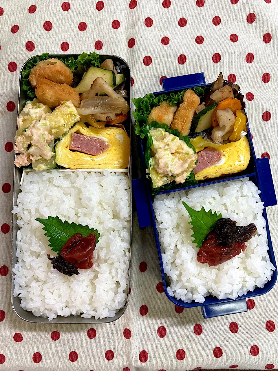 8月28日　週末弁当🍱|sakuramochiさん