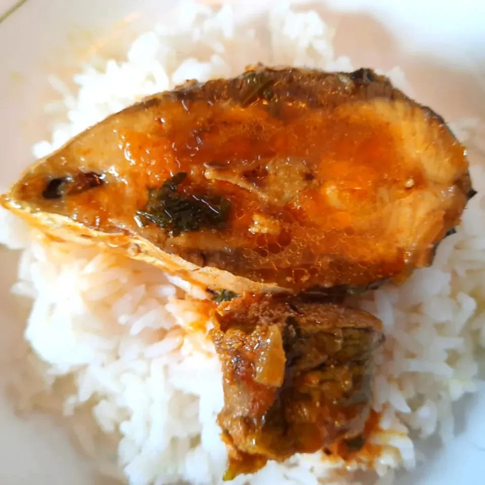 Rice with Hilsha fish|Meghlaさん