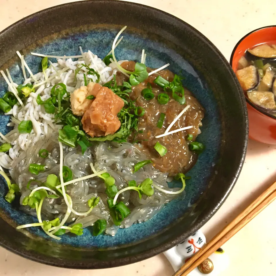 三色しらす丼|はるさん