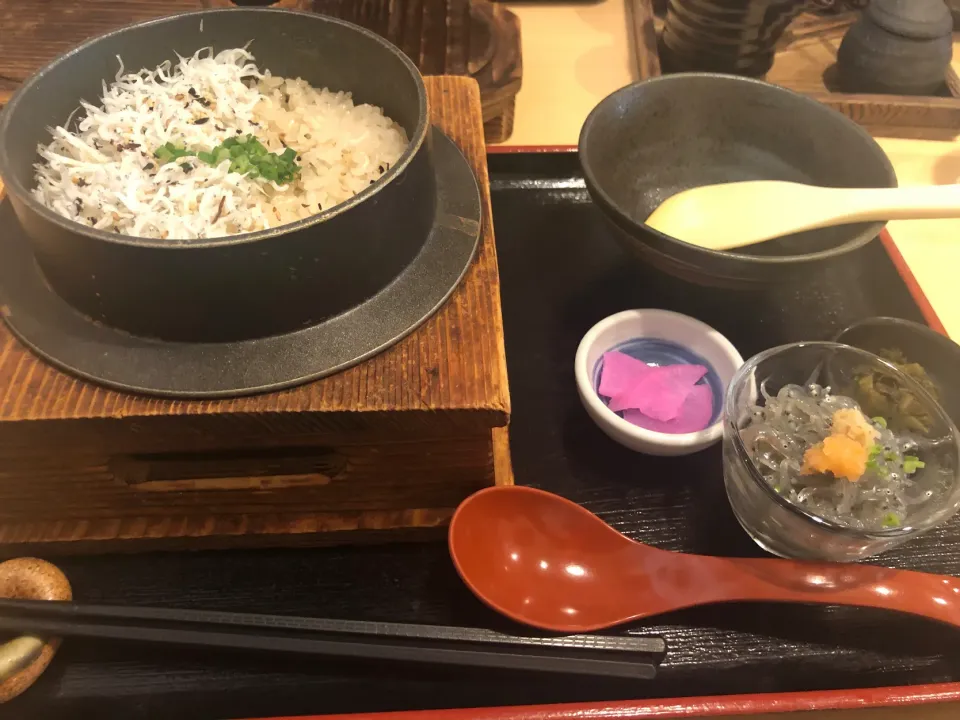 しらす2食丼|みぃさん