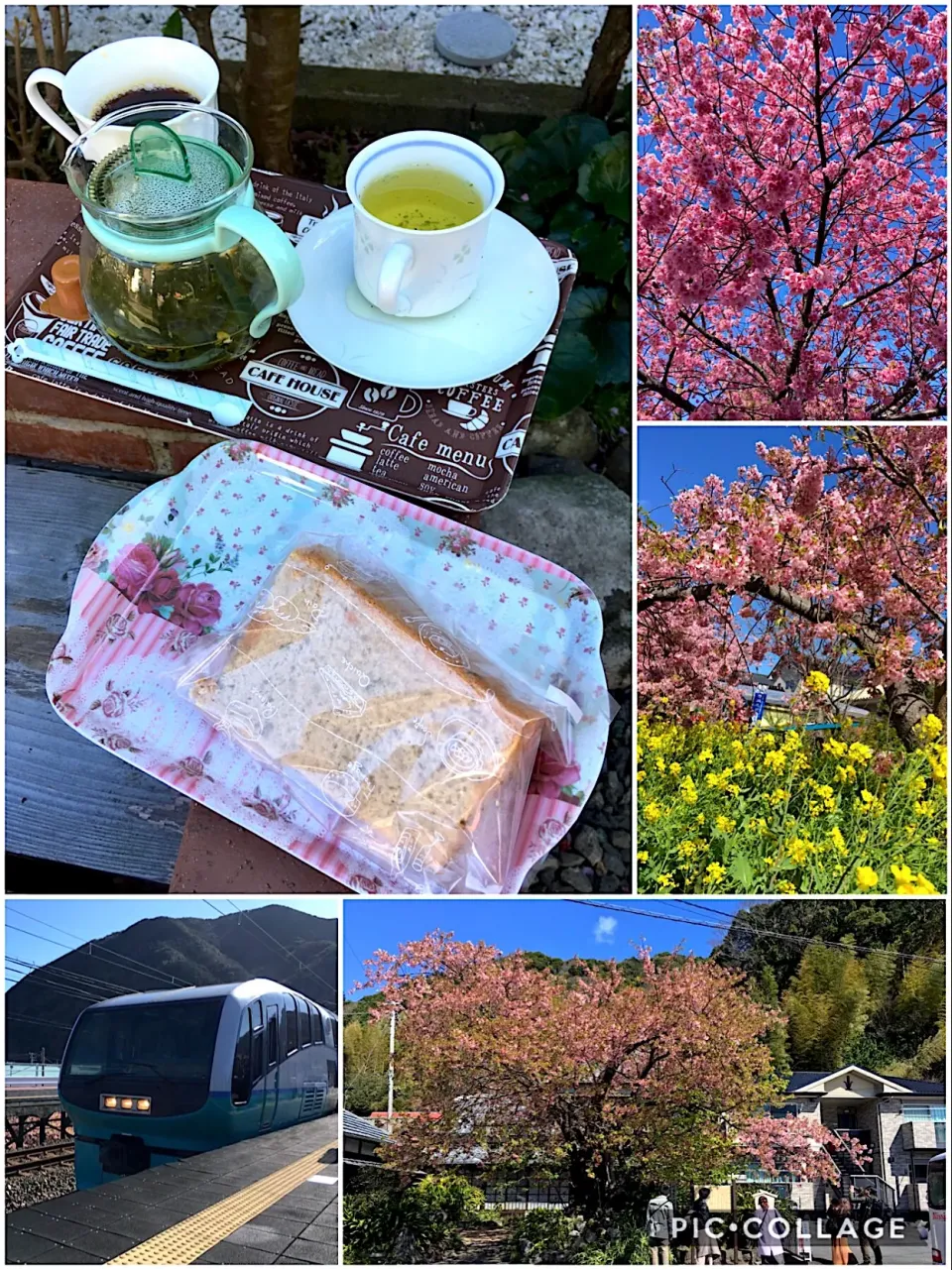 和茶〜ほのかな蜜柑の香り〜、桜のシフォン|こいちさん