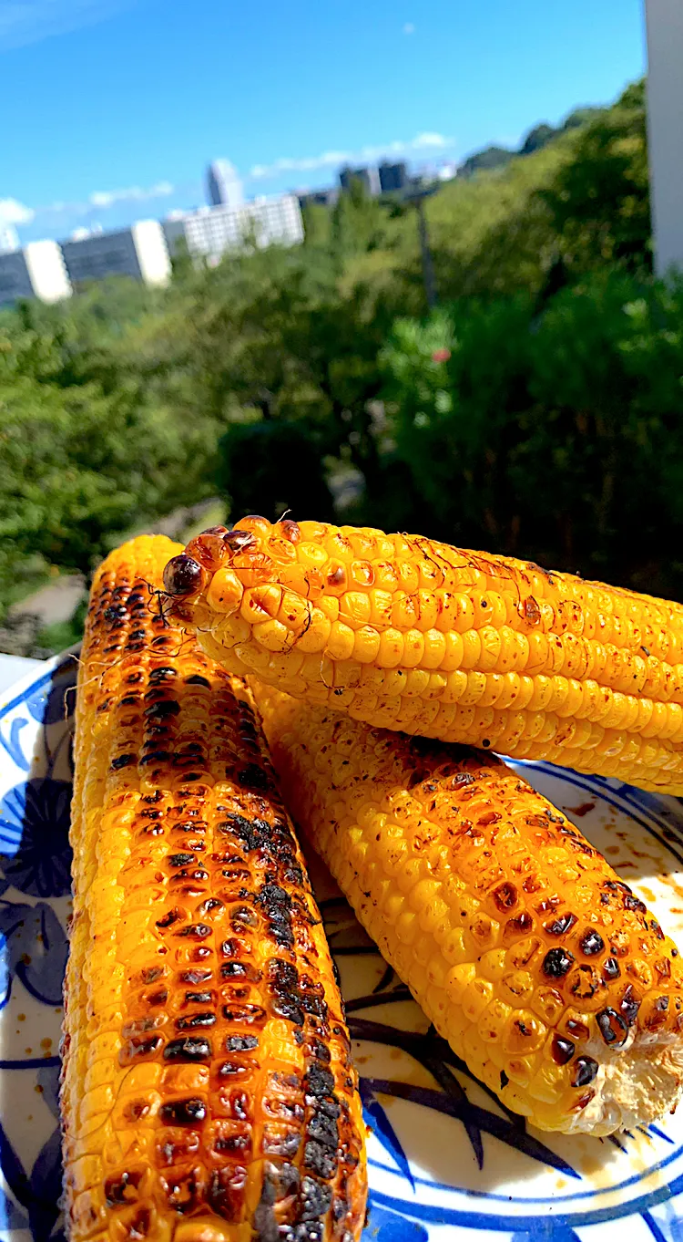 友達の畑のとうもろこし🌽|シュトママさん