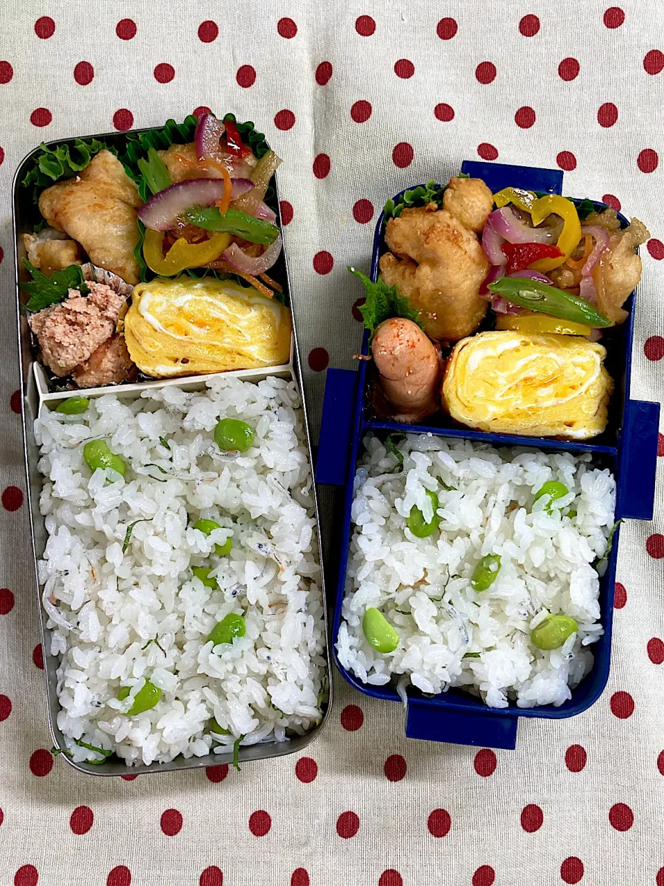 Snapdishの料理写真:8月31日　月末弁当🍱|sakuramochiさん