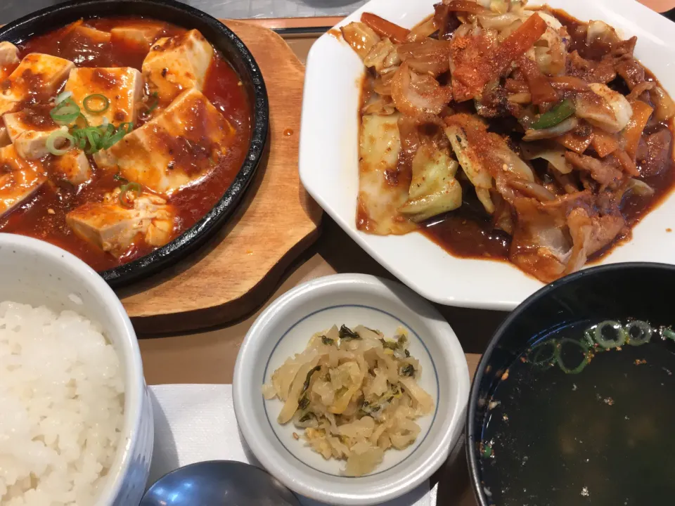 Snapdishの料理写真:麻婆豆腐と回鍋肉❣️|うまのしっぽさん