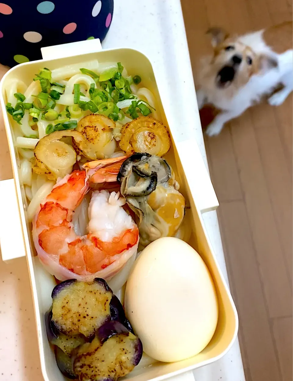 カレーうどん弁当|cafe3733さん