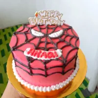 Snapdishの料理写真:Spiderman's Cake|SamRoseさん