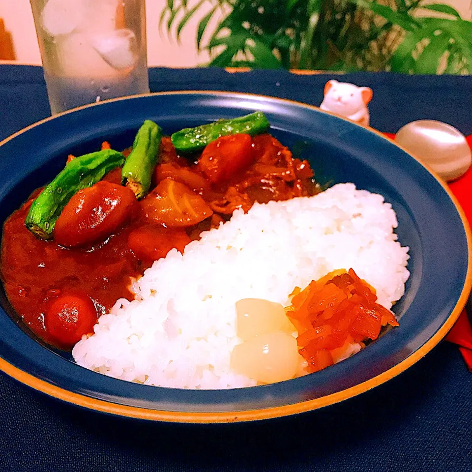 ごくごく普通の🍛ゴロゴロ野菜カレー💦😅|Sの食卓さん