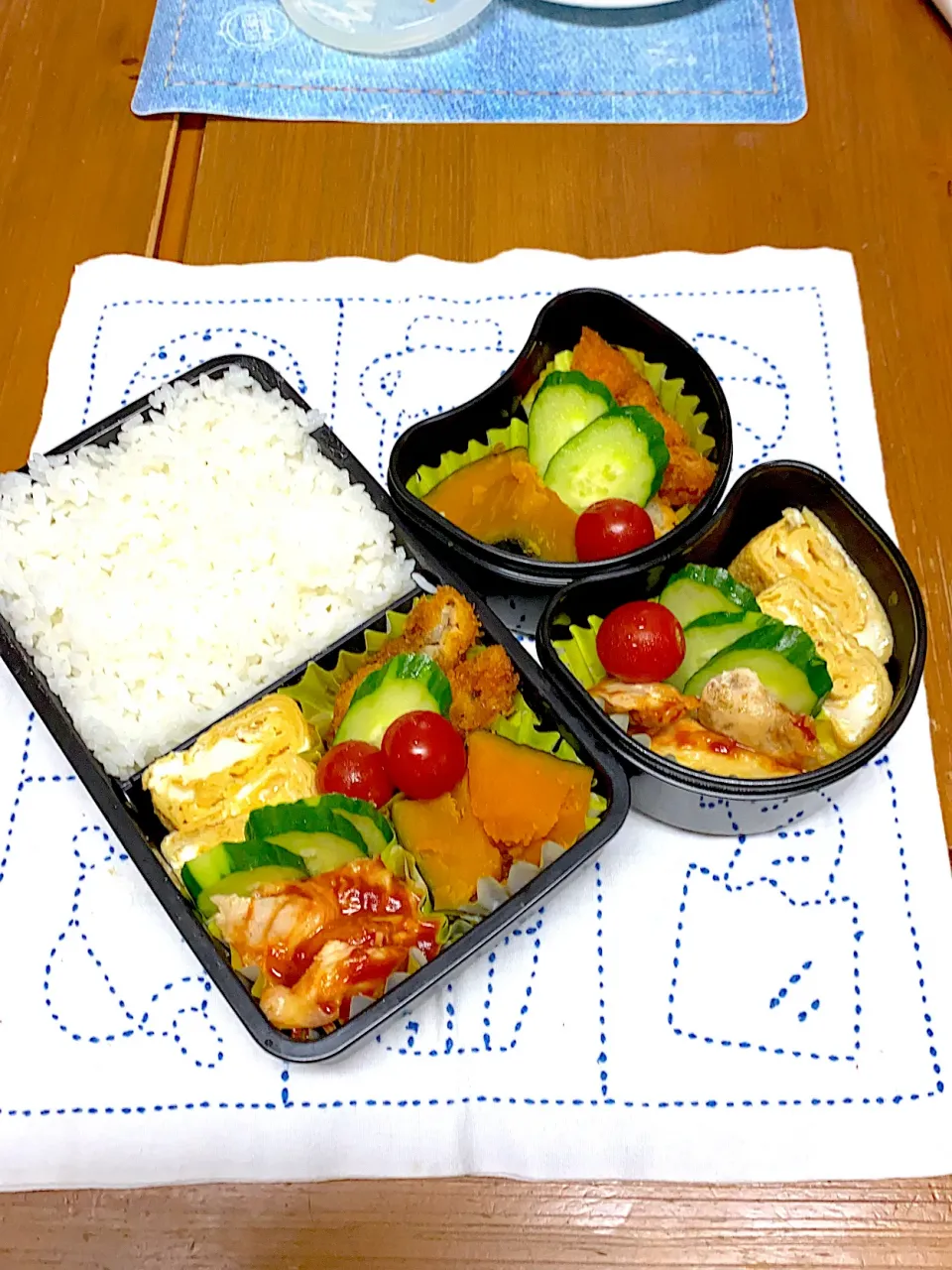 Snapdishの料理写真:9月2日水曜日ささみ弁当|アッキーさん