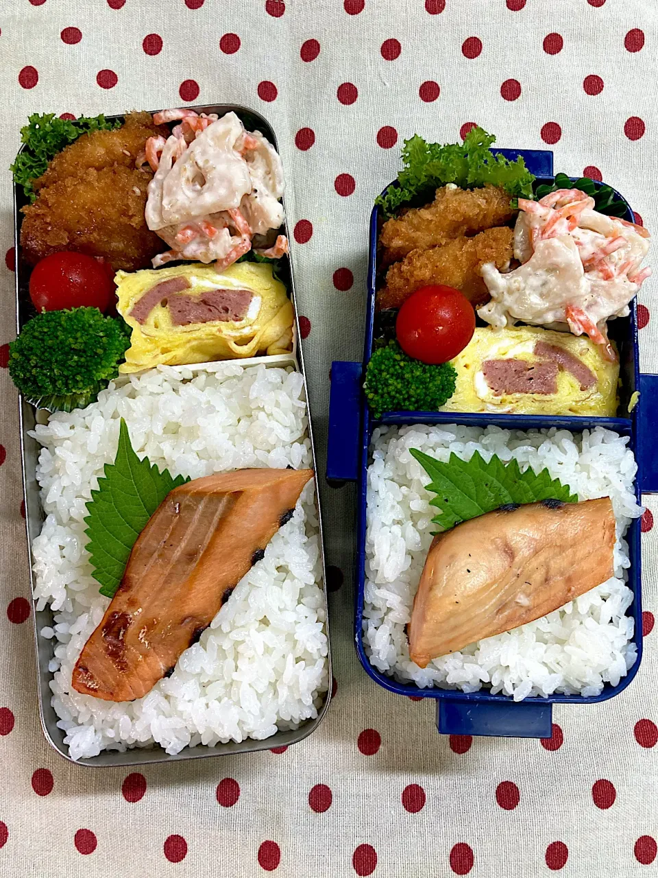 Snapdishの料理写真:9月2日　台風接近中弁当🍱|sakuramochiさん