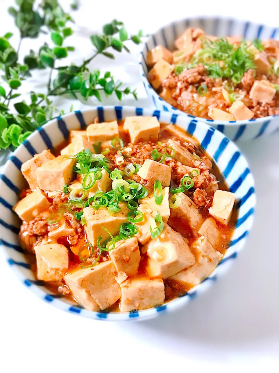 麻婆丼（息子作）|オーロラさん