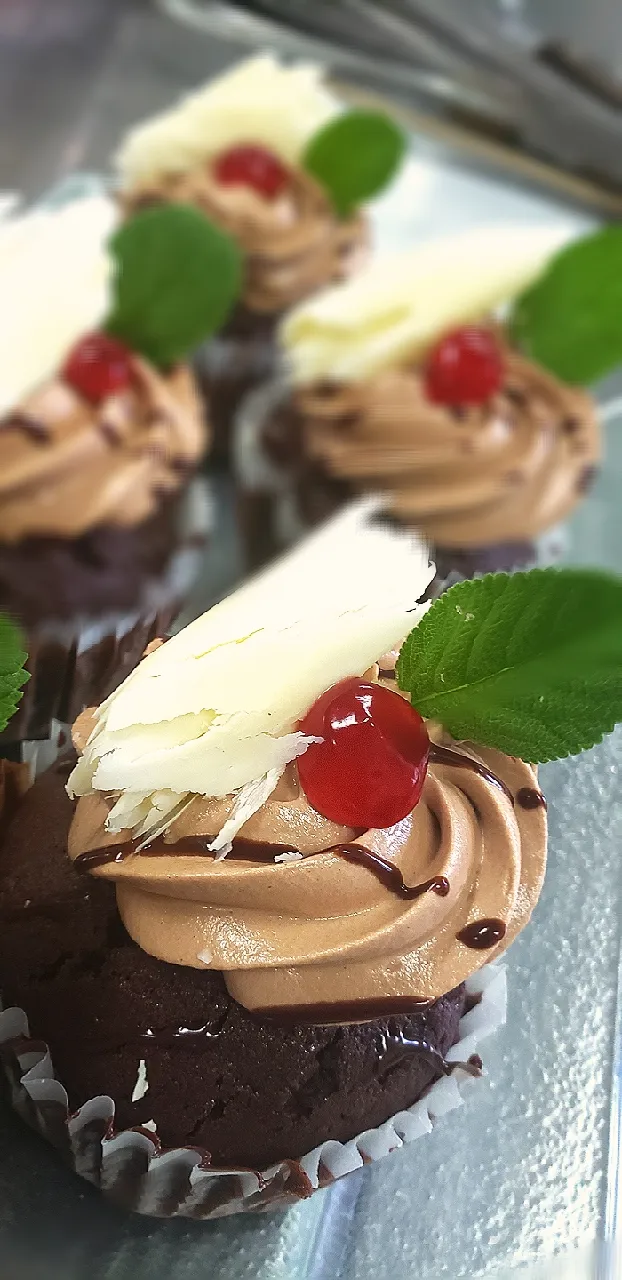 Chocolate Cupcakes|Chefmyersさん