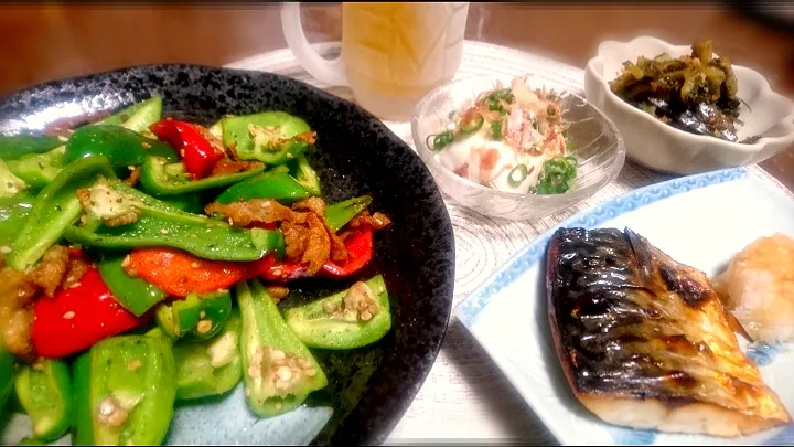 鶏皮🐔とピーマンの炒め
 焼き鯖🐟
 ゴーヤの佃煮
 冷奴        🍻|びせんさん