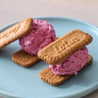 Mixed berries mascarpone icecream sandwich