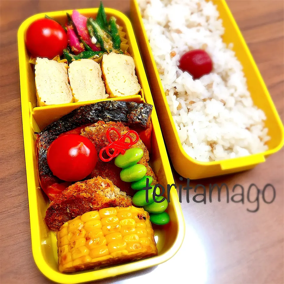 お弁当|teritamagoさん