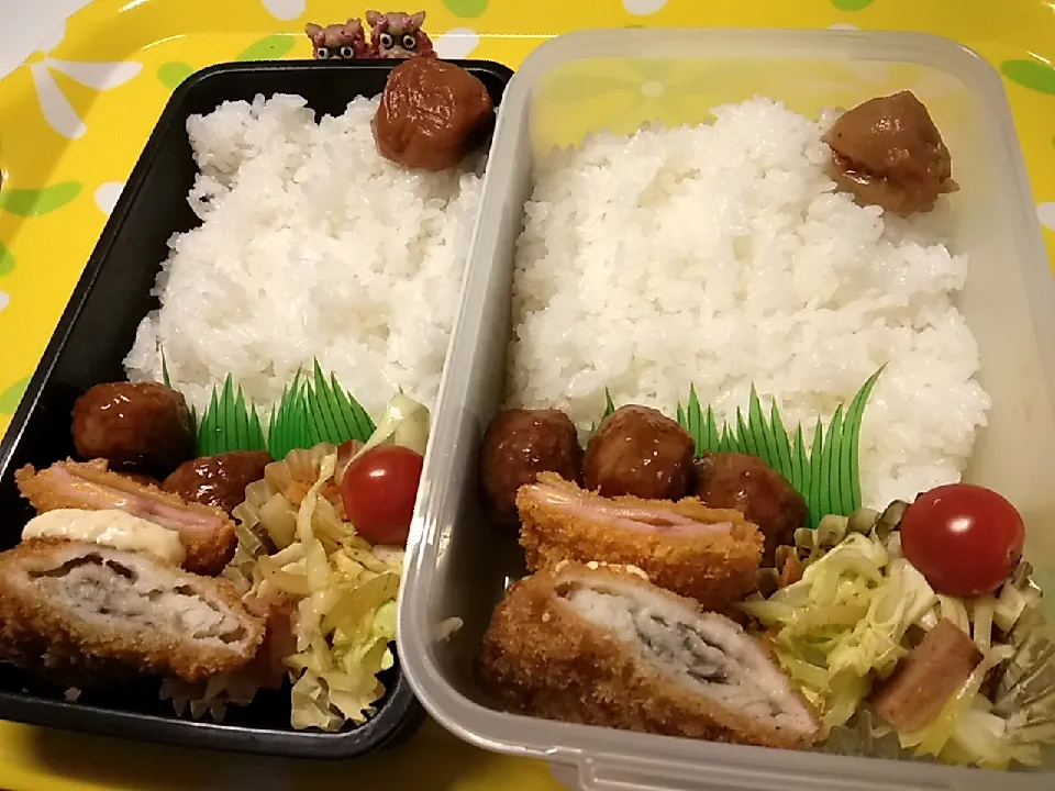 夫弁当、息子弁当|みどりさん