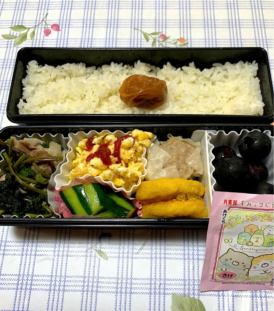 娘のお弁当9/4|iguigupopさん