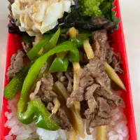 Snapdishの料理写真:青椒肉絲　たまごサラダ　ブロッコリー炒め　つけもの弁当|Kumiko Kimuraさん