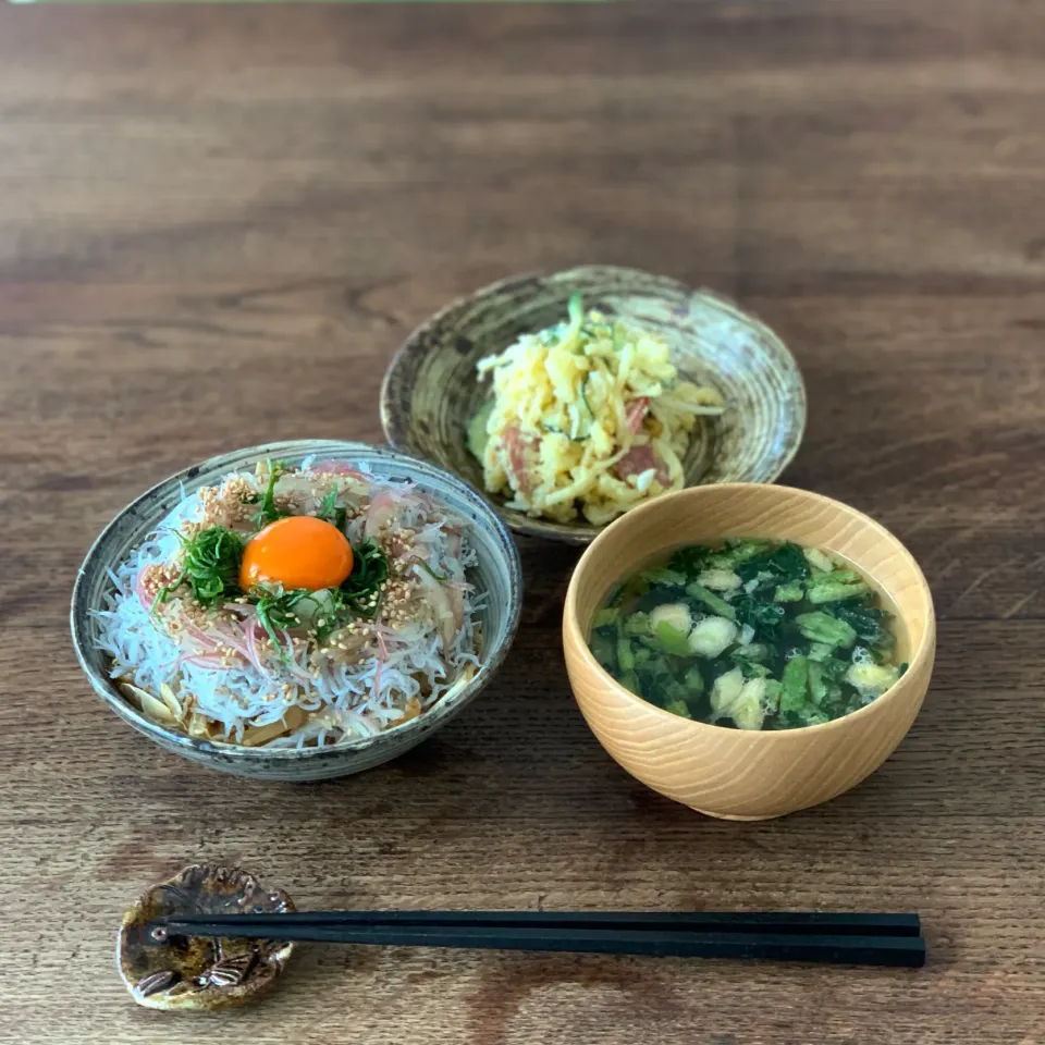 しらす丼|ぺんぎんさん