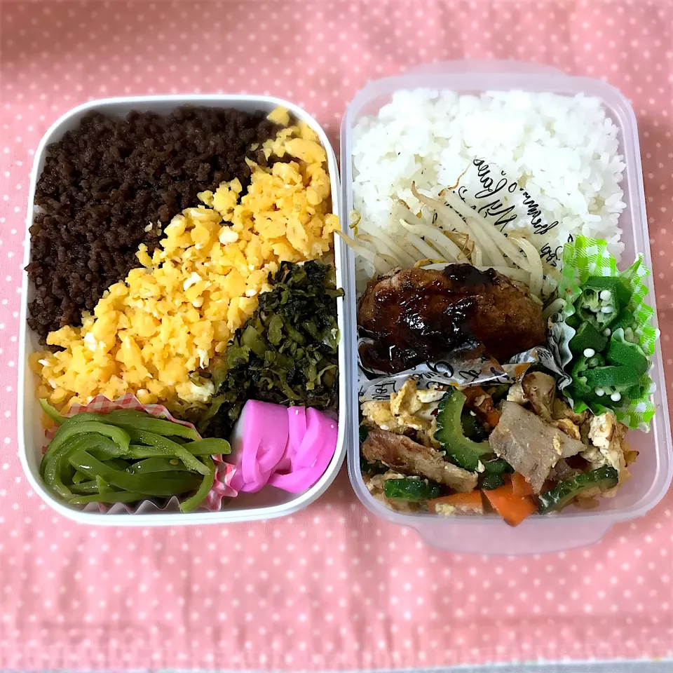 一度に2食分のお弁当|Megurianさん