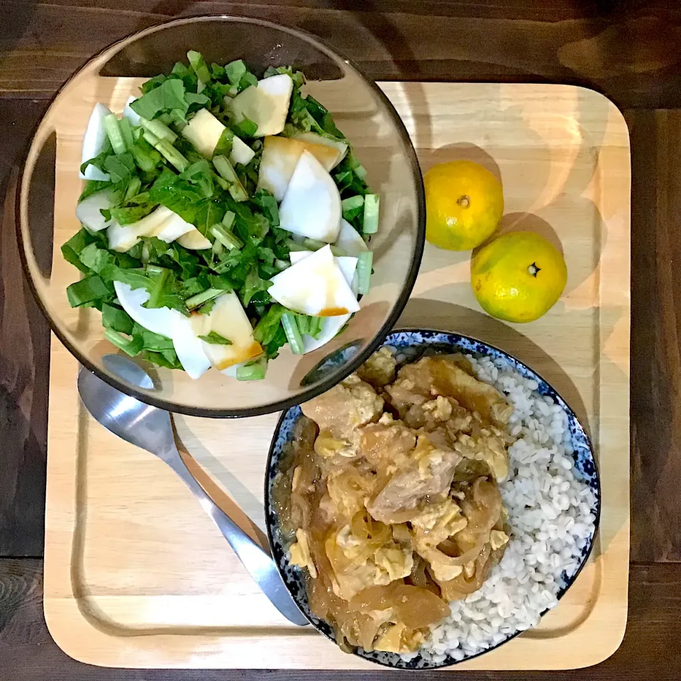 👩🏻‍🍳給食ごっこ🏫🥣                      木のおぼん|🌿𝚌𝚑𝚎𝚛𝚗𝚘🥄さん