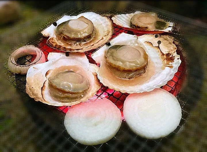 ✧夏休みの思い出✧
サロマ湖に沈む夕日が絶景
キムアネップ崎野営場
常呂産のホタテと玉葱
七輪で焼いて食べました|🌻ako ·͜·♡peco🌻さん