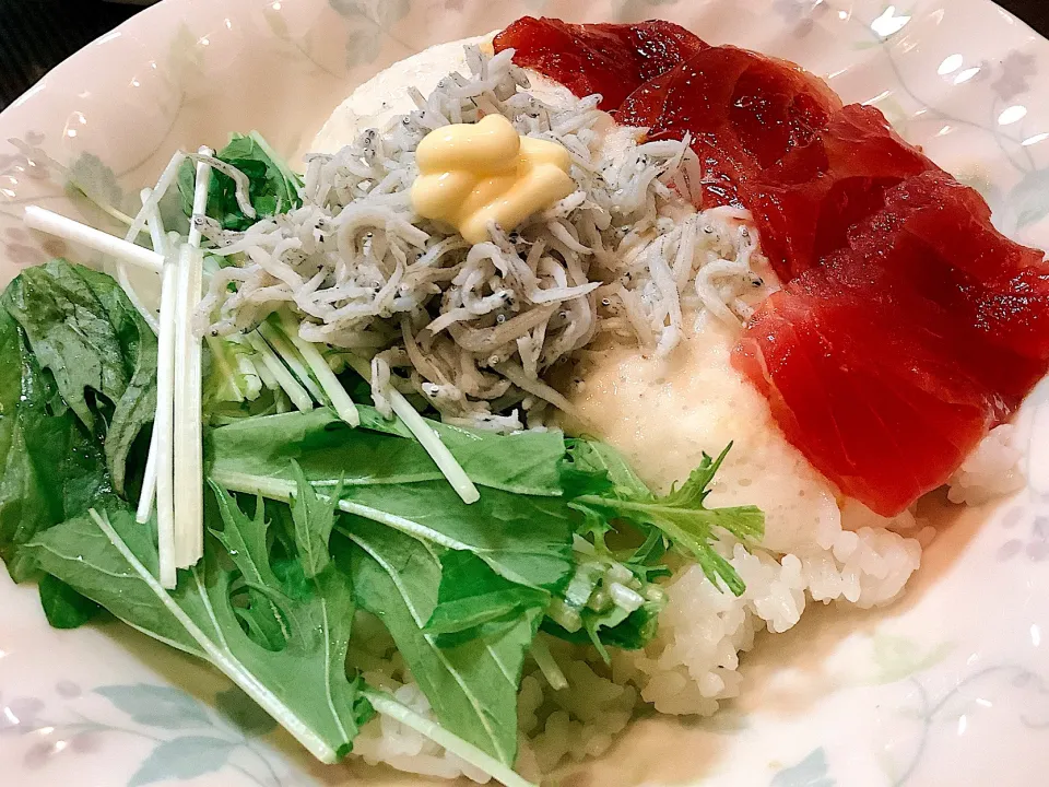 Snapdishの料理写真:ローズ＆ローズさんの料理 しらすのとろろご飯🐟マグロプラス😋|アライさんさん