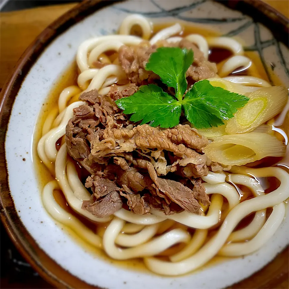 肉うどん|名状しがたいゴミムシのようなものさん