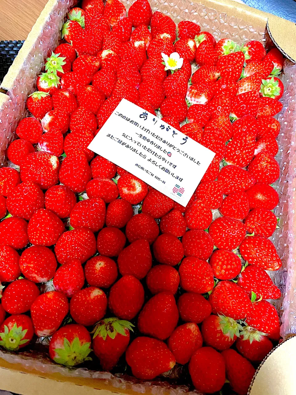 初めての食べチョクで夏いちご🍓サマープリンセスとサマーリリカル👸🏻|1614さん