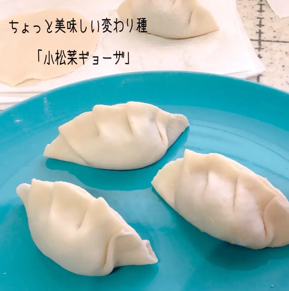 手作り餃子の皮で「小松菜餃子」|ぷらっとさん