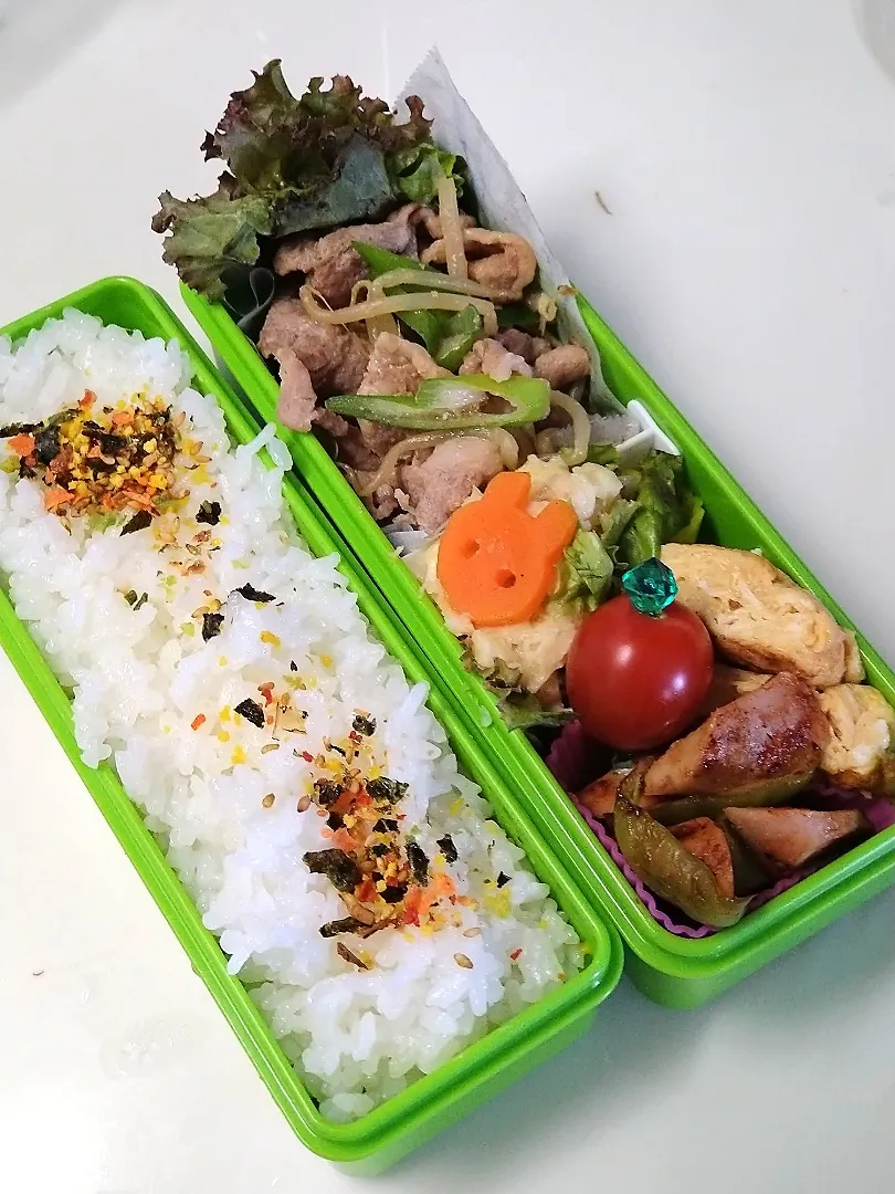 9/4豚肉ともやしの味ぽん煮弁当|Reikoさん