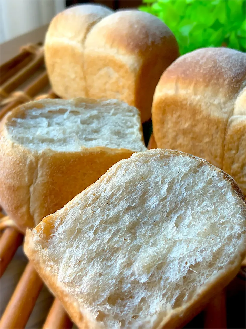 ふすまミニ食パン🍞|9421beruさん