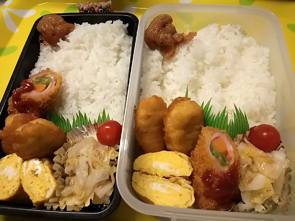 夫弁当、息子弁当|みどりさん