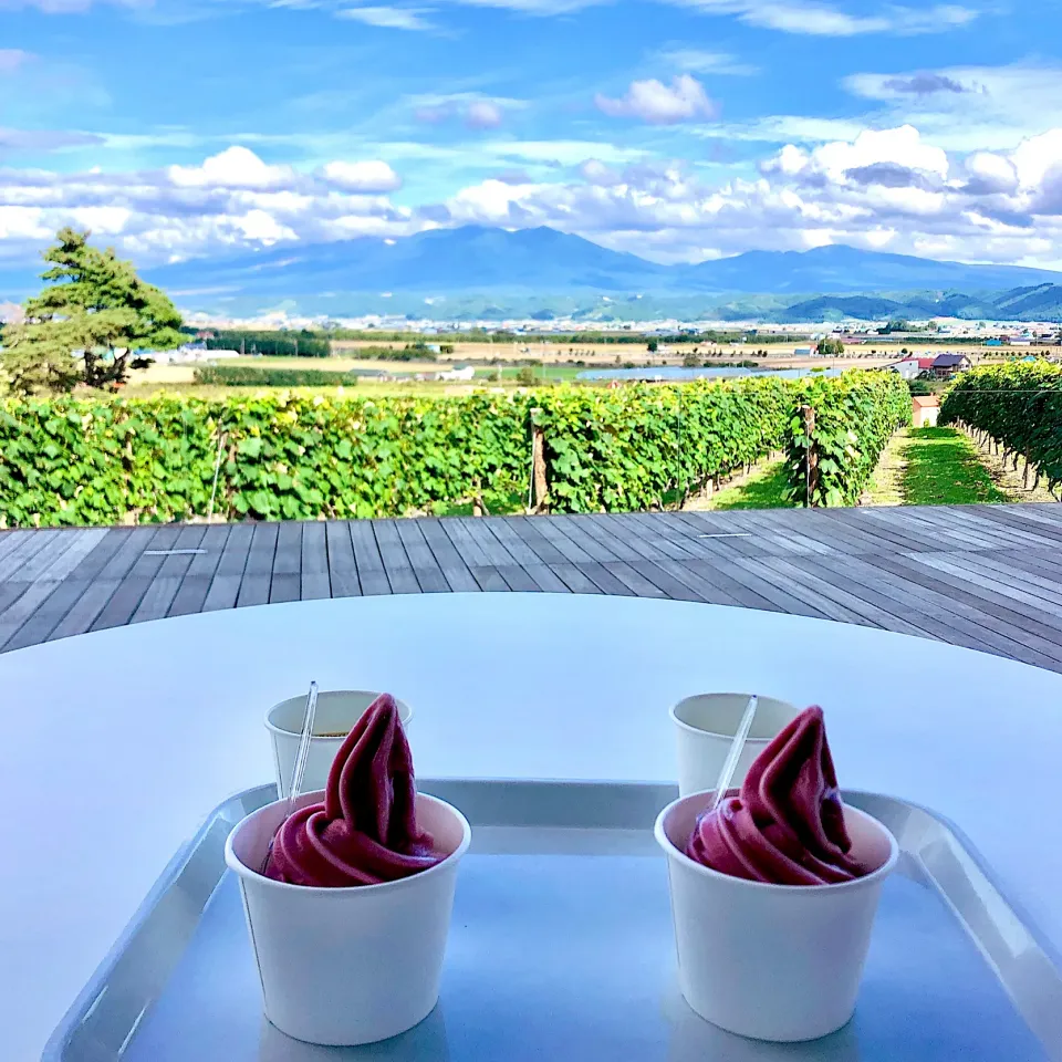 北海道富良野〜カンパーナ六花亭の「葡萄ソフト」🍇|Happy suzumeさん