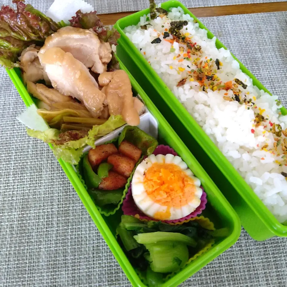 9/8鶏のさっぱり煮弁当|Reikoさん