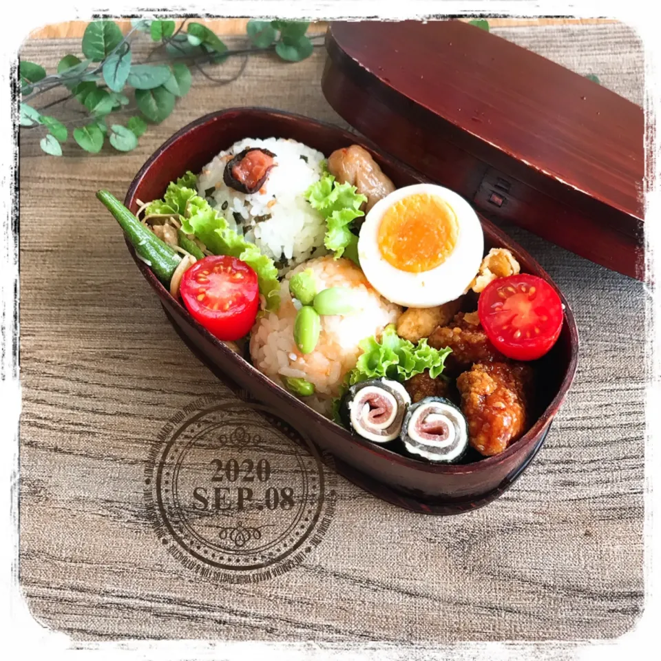 Snapdishの料理写真:9/4 ☺︎ 2種おにぎり弁当✩.*˚|jon2さん