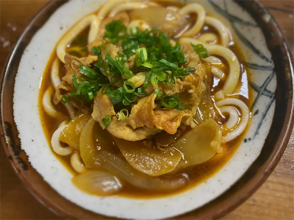 カレーうどん|名状しがたいゴミムシのようなものさん