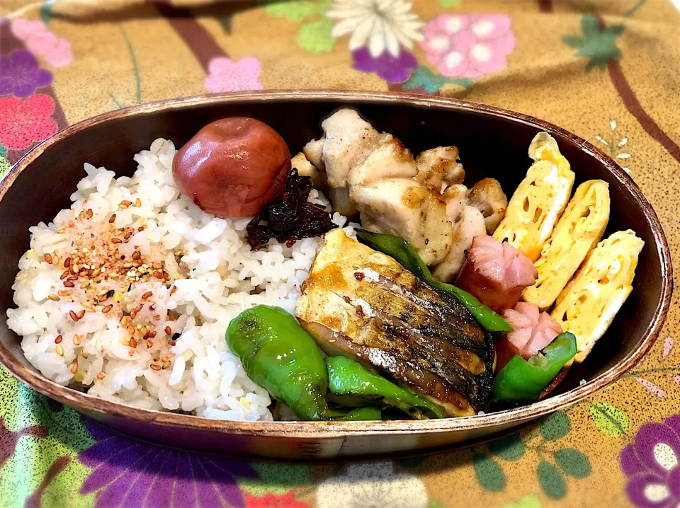 Snapdishの料理写真:サラ弁　　　　　　　　　　　　　　　　　鶏もも肉ソテー　塩サバ　卵焼き　甘唐辛子の甘辛炒め|じゅんさんさん