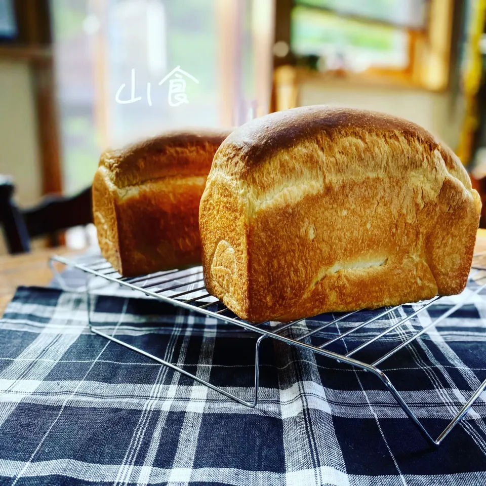 ワンローフ🍞|カンカンさん