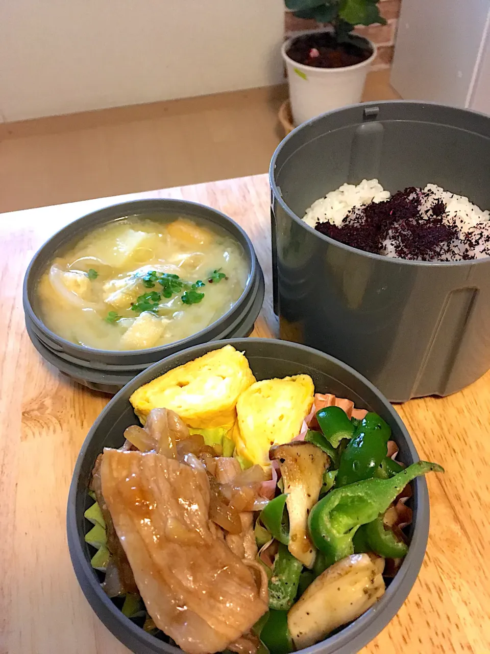 今日の旦那さんお弁当〜生姜焼き、卵焼き、ピーマンとエリンギのマヨソテー、ジャガイモのお味噌汁、ゆかりご飯🤤|さくたえさん